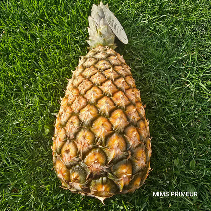 ANANAS PAIN DE SUCRE