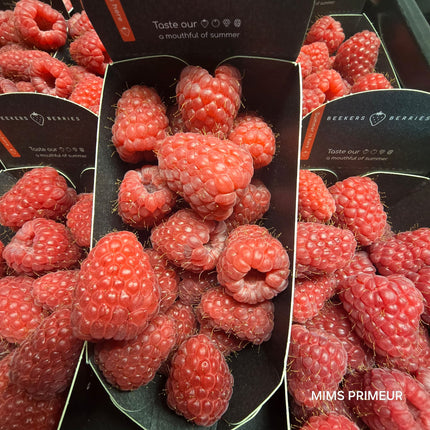 FRAMBOISE