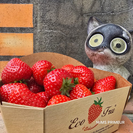 FRAISE DES FRUITS (ECO FRU)