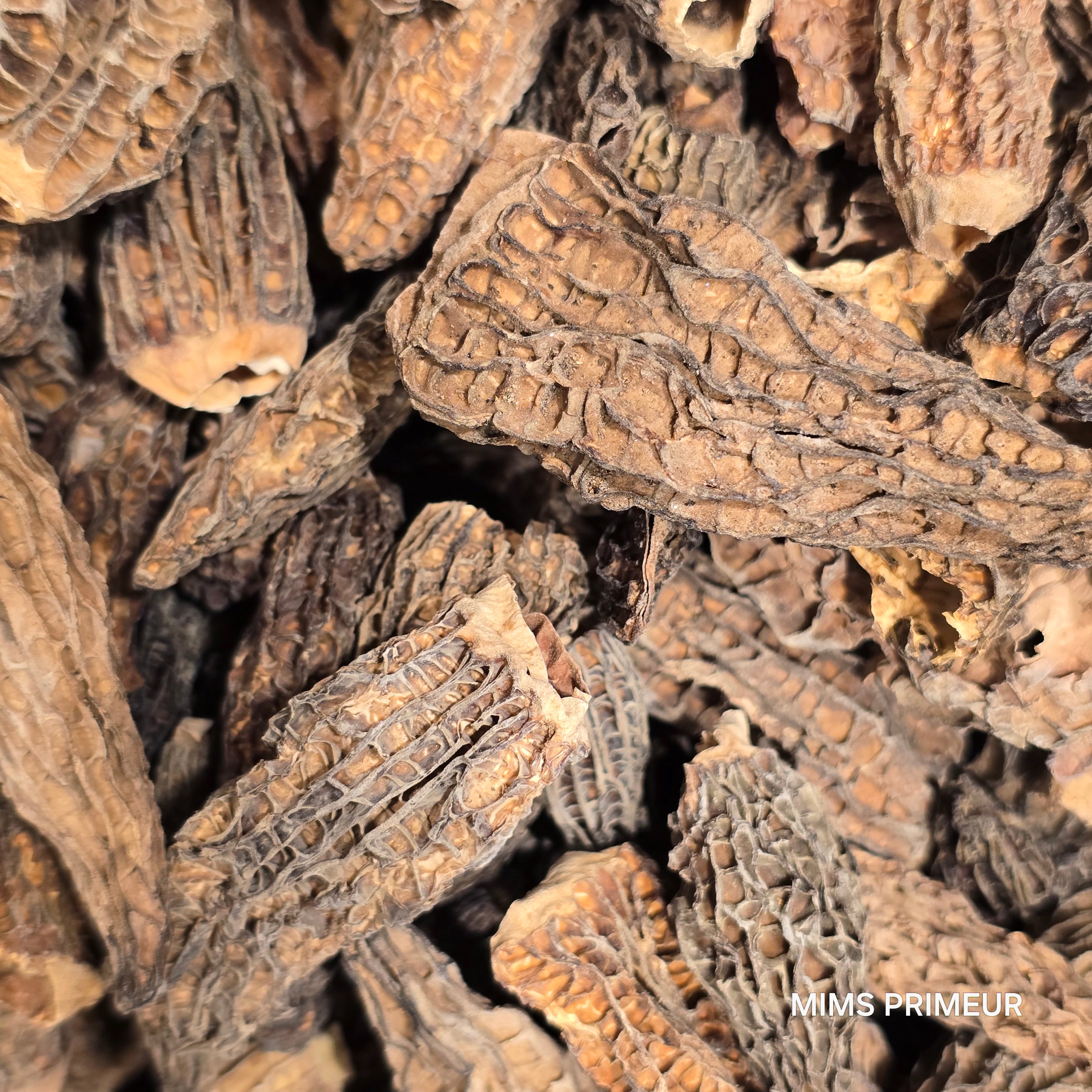 DRIED MORELS