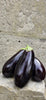 AUBERGINE NOIRE BELGE