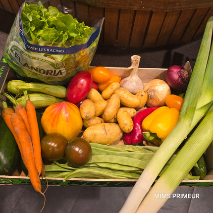 FRUIT BASKET