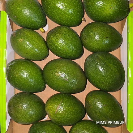 Avocat