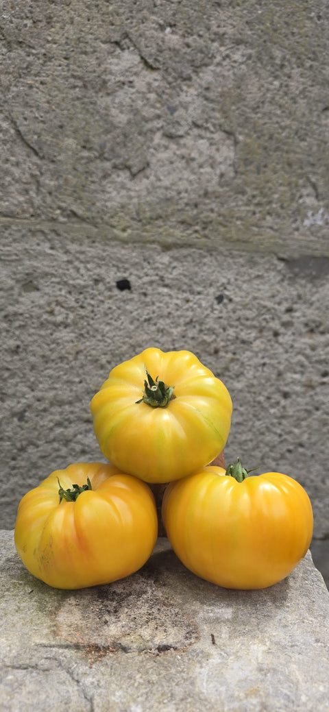 TOMATES ANANAS