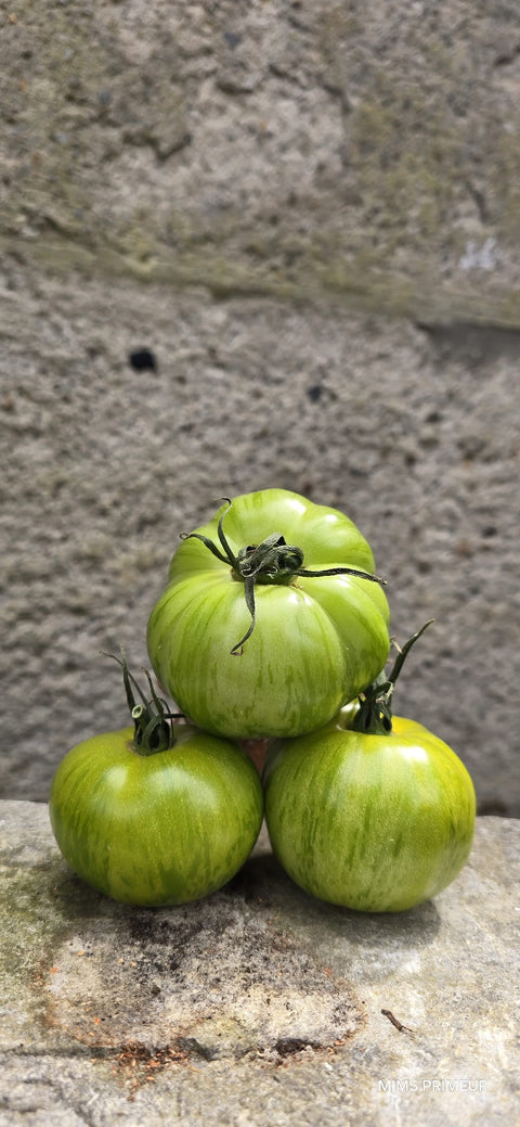 TOMATE GREEN ZEBRA