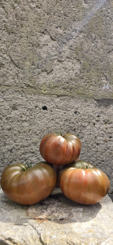 TOMATE NOIRE DE CRIMÉE