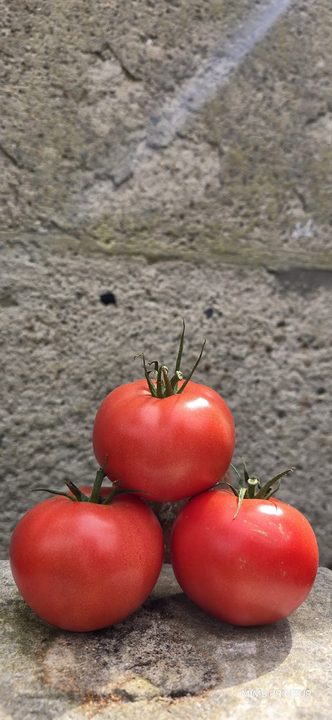 TOMATE RONDE ROSÉ